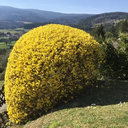 Zapfl Maria アパート