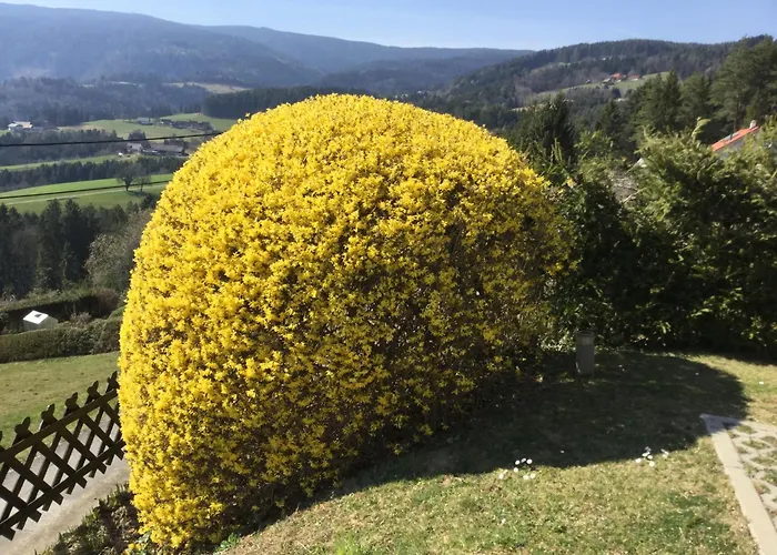 Zapfl Maria Apartment